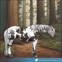 Horse Color:White Spotted Liver Chestnut Mushroom