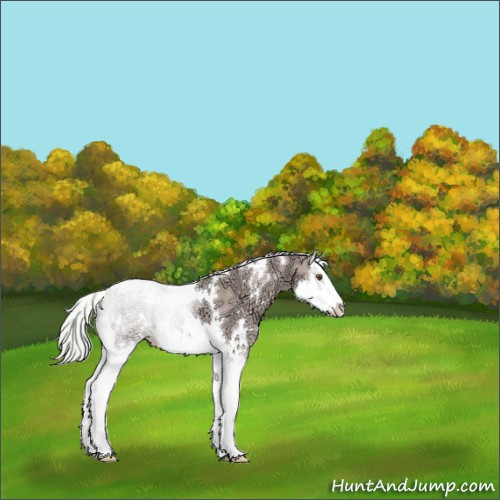 Horse Color:Watercolor White Spotted Silver Bay Ice Dun Splash 