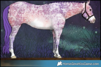 Horse Color:Watercolor Bay Ice Frame 