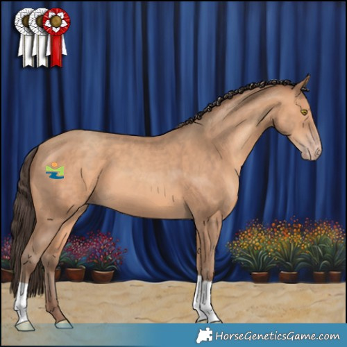 Horse Color:Amber Champagne 