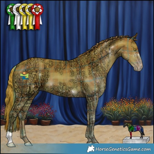 Horse Color:Plaid  Gold Champagne Ice 