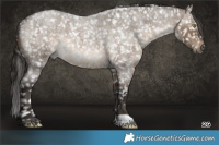 Horse Color:Gray Bay Roan Dun Snowflake VarnishRabicano