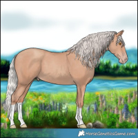 Horse Color:Silver Classic Champagne 