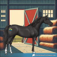 Horse Color:Smoky Black Tobiano 