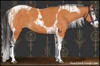 Horse Color:Bay Splash Tobiano Varnish  and Bay Splash Tobiano Varnish 