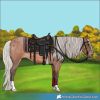Horse Color:Silver Brown Roan 