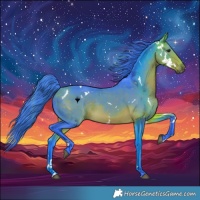 Horse Color:Watercolor White Spotted Buckskin 