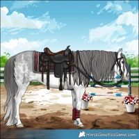 Horse Color:White Spotted Black Splash Varnish