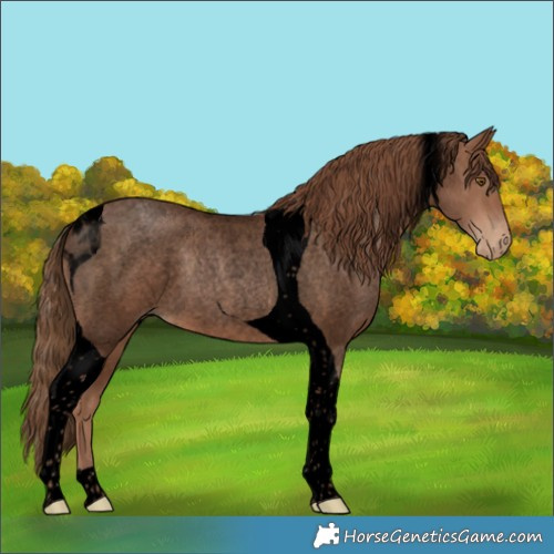 Horse Color:Void Brown Roan Pearl Tobiano 