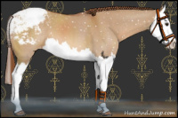 Horse Color:Red Dun Splash Snowcap 