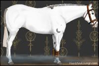 Horse Color:Silver Buckskin Sabino Near Fewspot 