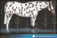 Horse Color:Chocolate Silver Smoky Black Blanket 