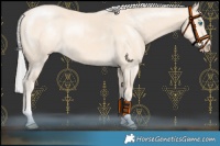 Horse Color:Chocolate Silver Perlino 