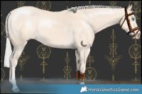 Horse Color:Chocolate Silver Perlino