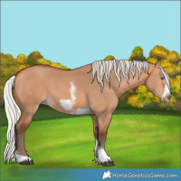 Horse Color:Silver Bay Dun Sabino Tobiano Frame Rabicano 