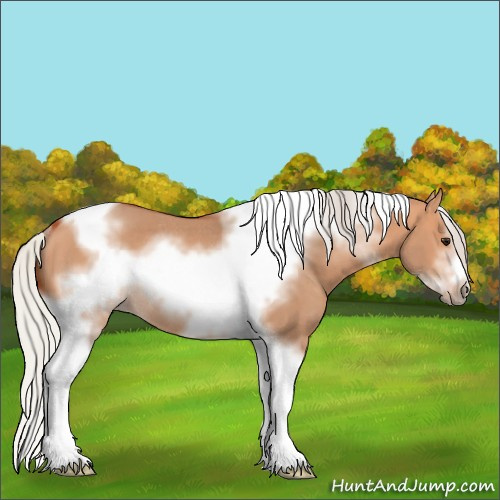 Horse Color:Silver Bay Dun Sabino Tobiano Frame Rabicano 