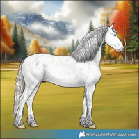 Horse Color:Smoky Creme Sabino Splash Appaloosa Rabicano 