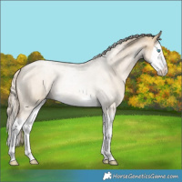 Horse Color:Chocolate Palomino Pearl Dun Splash 