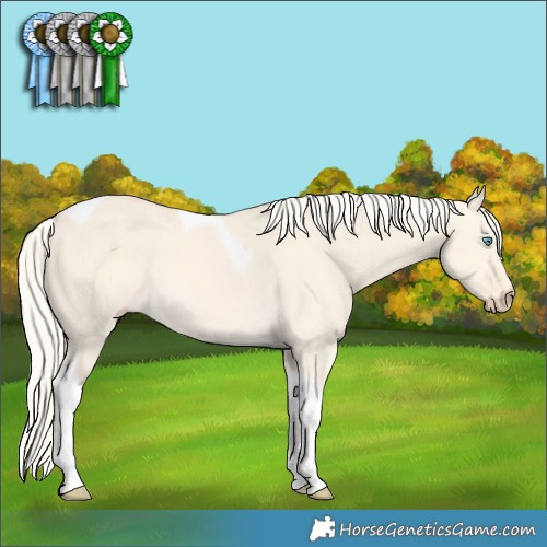 Horse Color:Cremello Dun Tobiano 