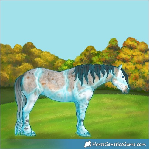Horse Color:Thunderstruck Buckskin Roan Splash 