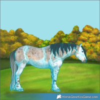 Horse Color:Thunderstruck Buckskin Roan Splash 