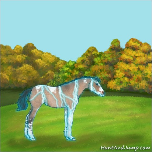 Horse Color:Thunderstruck Brown Roan Dun Splash Tobiano Rabicano 