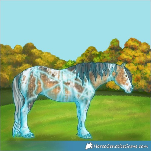 Horse Color:Thunderstruck Silver Buckskin Dun Splash Tobiano Rabicano  and Thunderstruck Buckskin Splash Tobiano 