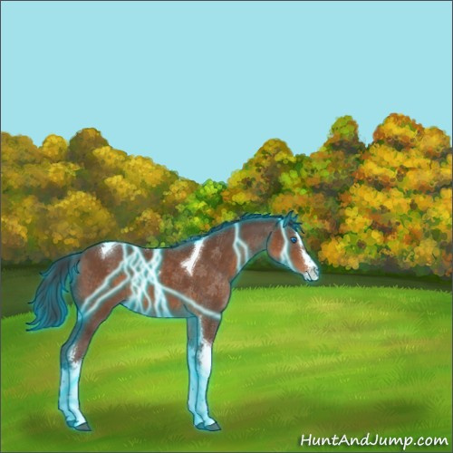 Horse Color:Thunderstruck Bay Sabino Splash Tobiano Rabicano 