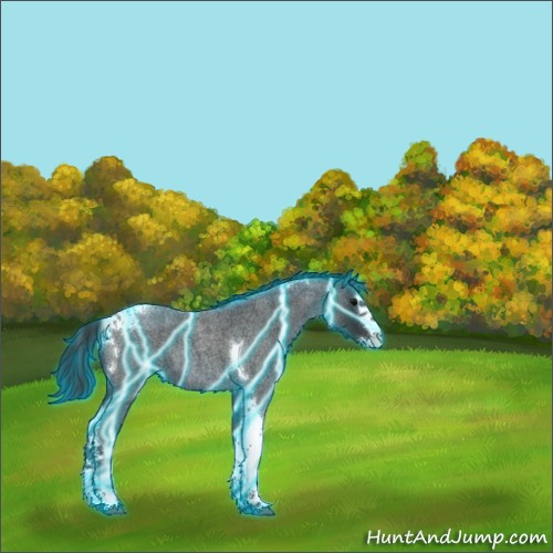 Horse Color:Thunderstruck Blue Roan Splash Tobiano 