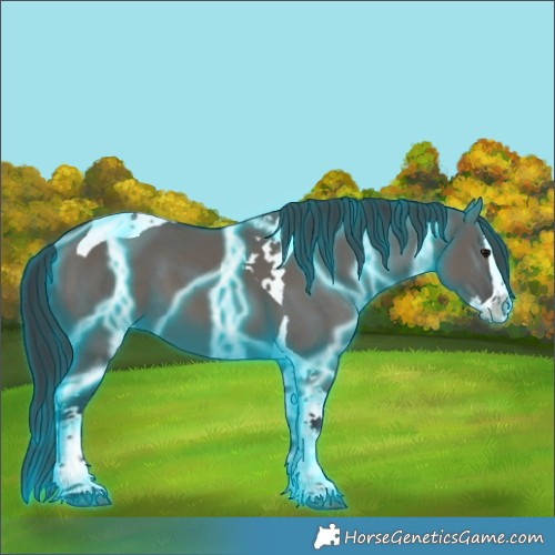 Horse Color:Thunderstruck Grullo Splash Tobiano 