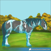 Horse Color:Thunderstruck Grullo Splash Tobiano 