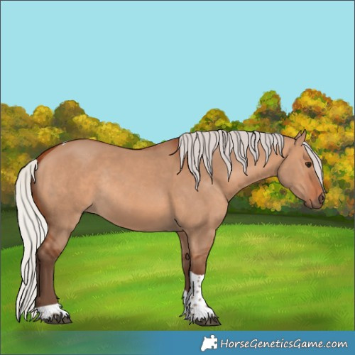 Horse Color:Silver Bay Dun Tobiano Rabicano 