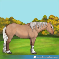 Horse Color:Silver Bay Dun Tobiano Rabicano 