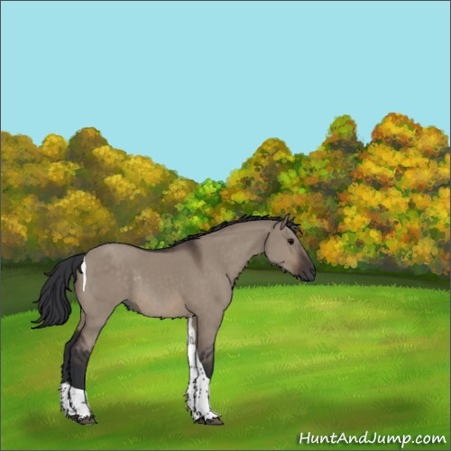 Horse Color:Brown Dun Tobiano Rabicano 