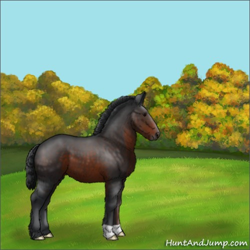 Horse Color:Brown 