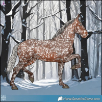 Horse Color:Silver Brown Appaloosa 