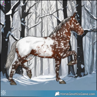 Horse Color:Silver Brown Near Fewspot