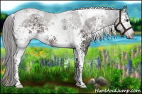 Horse Color:Platinum White Spotted Chocolate Palomino Tobiano 
