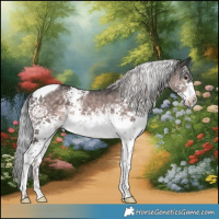 Horse Color:Platinum White Spotted Chocolate Palomino Tobiano 