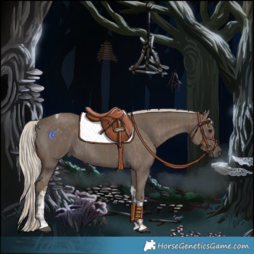 Horse Color:Silver Smoky Black Rabicano  and Silver Smoky Black Tobiano Rabicano 