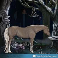 Horse Color:Silver Smoky Black Rabicano  and Silver Smoky Black Tobiano Rabicano 