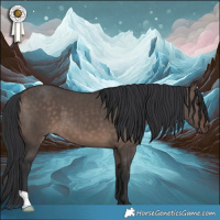 Horse Color:Brown Dun Mushroom 