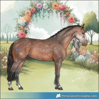Horse Color:Bay Rabicano 