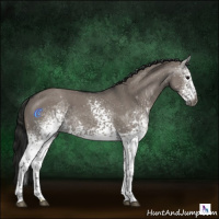Horse Color:Gray White Spotted Grullo Roan Rabicano 