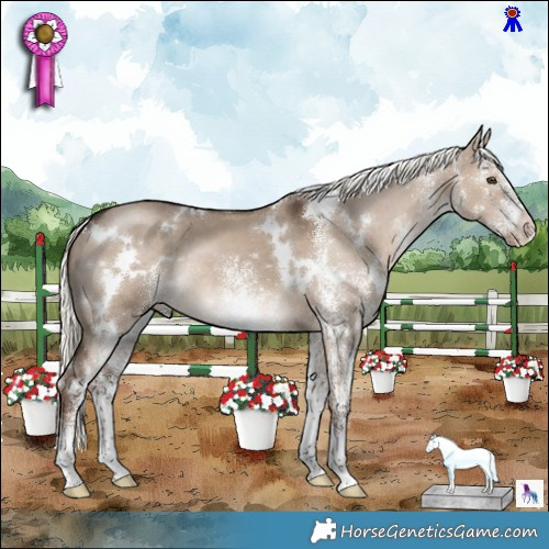 Horse Color:White Spotted Liver Red Dun Mushroom Rabicano 