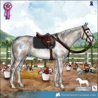 Horse Color:White Spotted Liver Red Dun Mushroom Rabicano