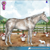 Horse Color:White Spotted Liver Red Dun Mushroom Rabicano 