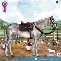 Horse Color:White Spotted Liver Red Dun Mushroom Rabicano 