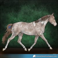 Horse Color:White Spotted Liver Red Dun Ice 