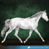 Horse Color:Watercolor White Spotted Chocolate Palomino Pearl Tobiano